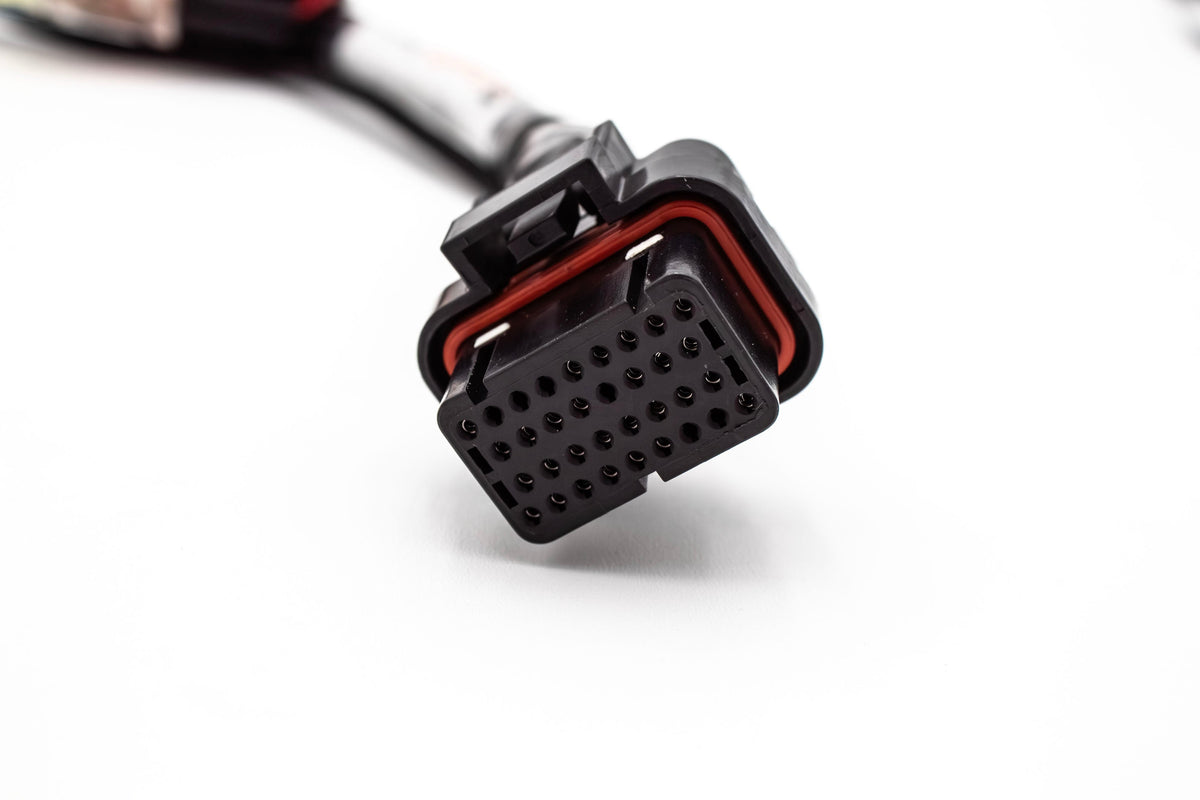 Haltech Elite 550/750 B Series & H Series Standalone Honda B18 B16 H22 H23 Jumper Adapter Sub Harness OBD1 | EG, Integra Carrot Top Tuning