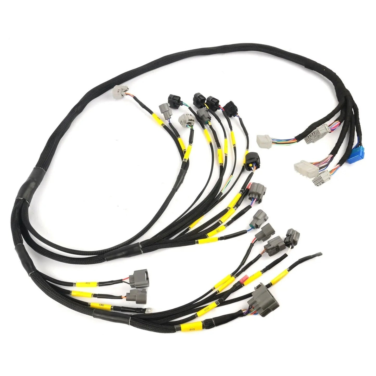 D & B-Series OBD2 Engine Tucked Engine Harness Kit w/o Subharness Carrot Top Tuning