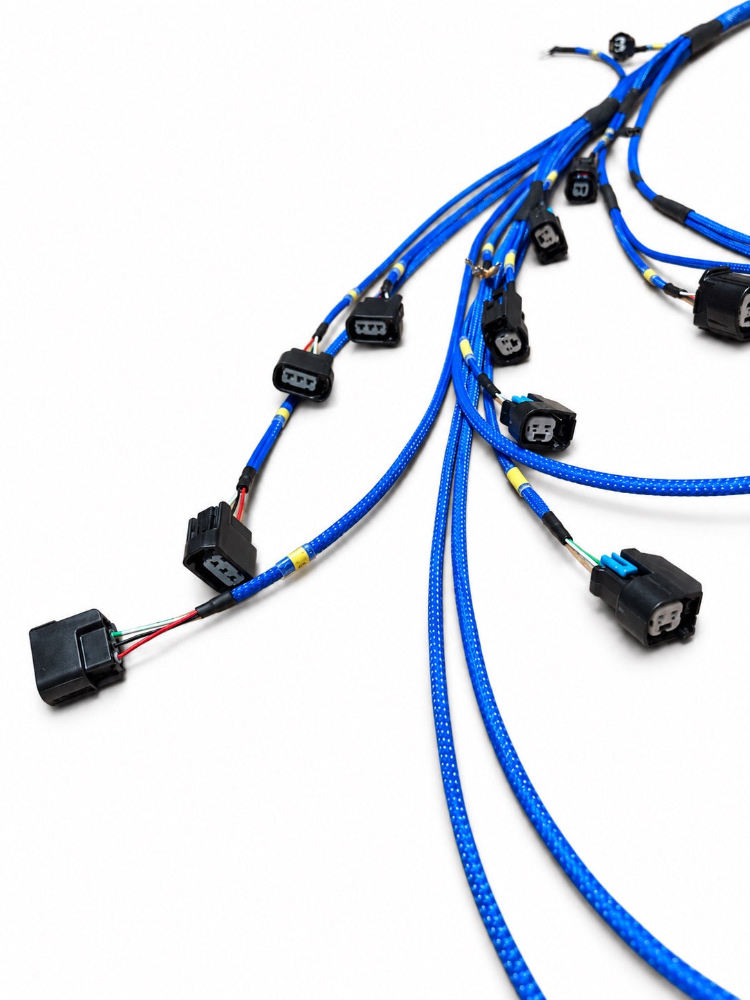 Close-up of a VTI custom harness with blue sleeved branches and black automotive connectors on a white background