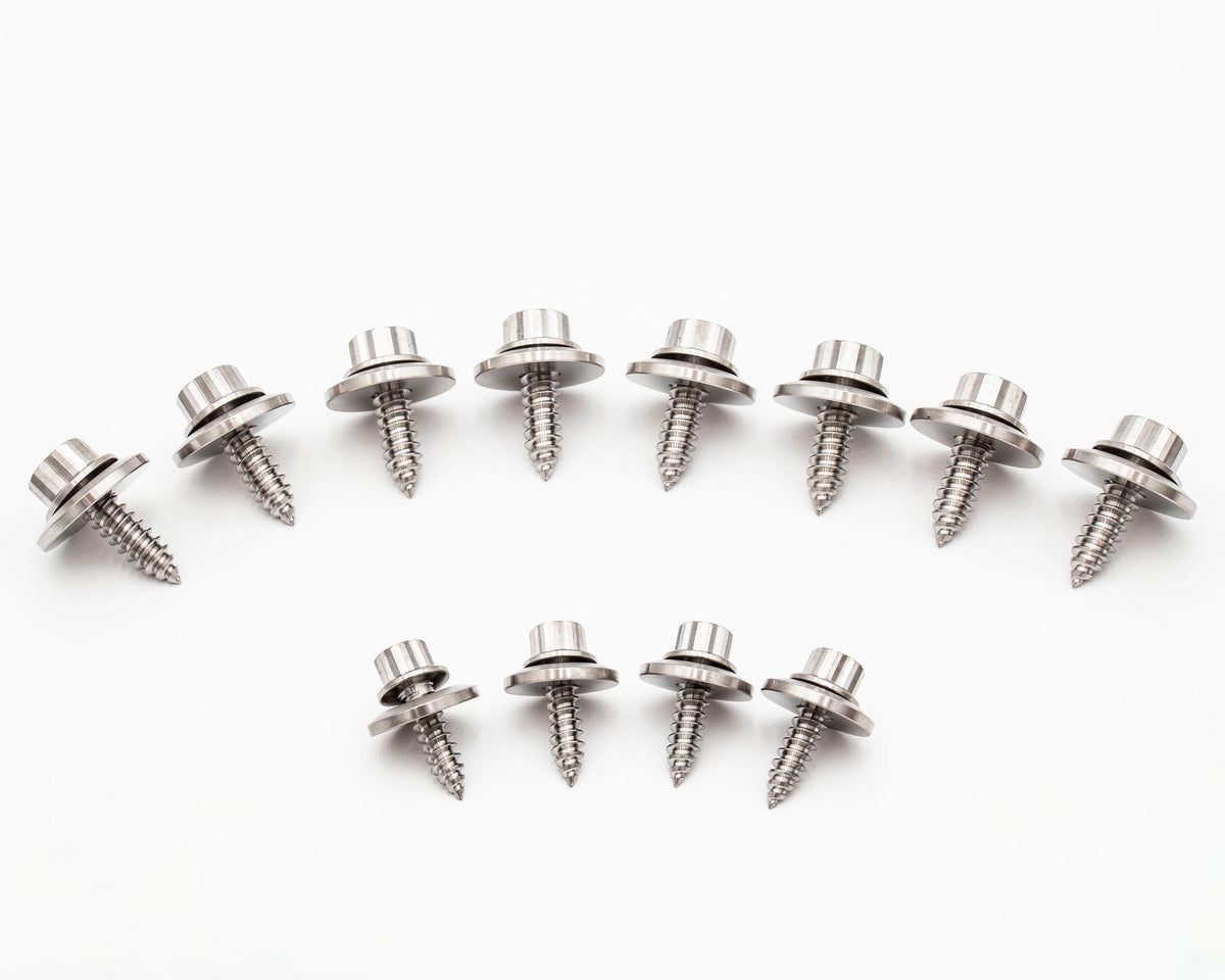 VW MK4 GR-5 Titanium Beauty Dress Up Fender/Headlights Screws, Washers Hardware  Kit - GTI, JETTA, GOLF Carrot Top Tuning