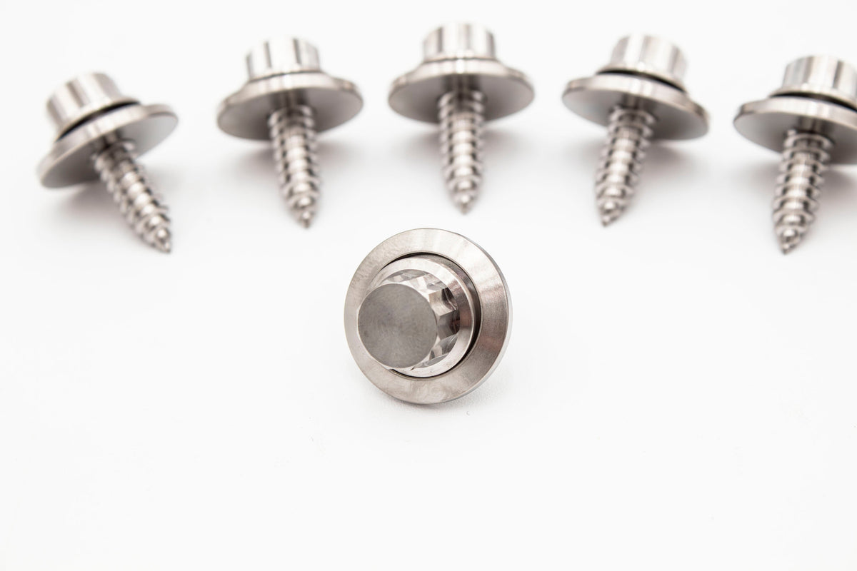 VW MK4 GR-5 Titanium Beauty Dress Up Fender/Headlights Screws, Washers Hardware  Kit - GTI, JETTA, GOLF Carrot Top Tuning