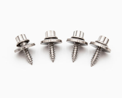 VW MK4 GR-5 Titanium Beauty Dress Up Fender/Headlights Screws, Washers Hardware  Kit - GTI, JETTA, GOLF Carrot Top Tuning